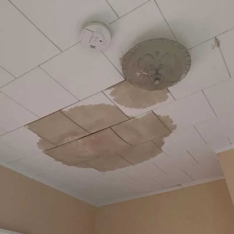Ceiling Water Damage Repair in Johnstown, PA