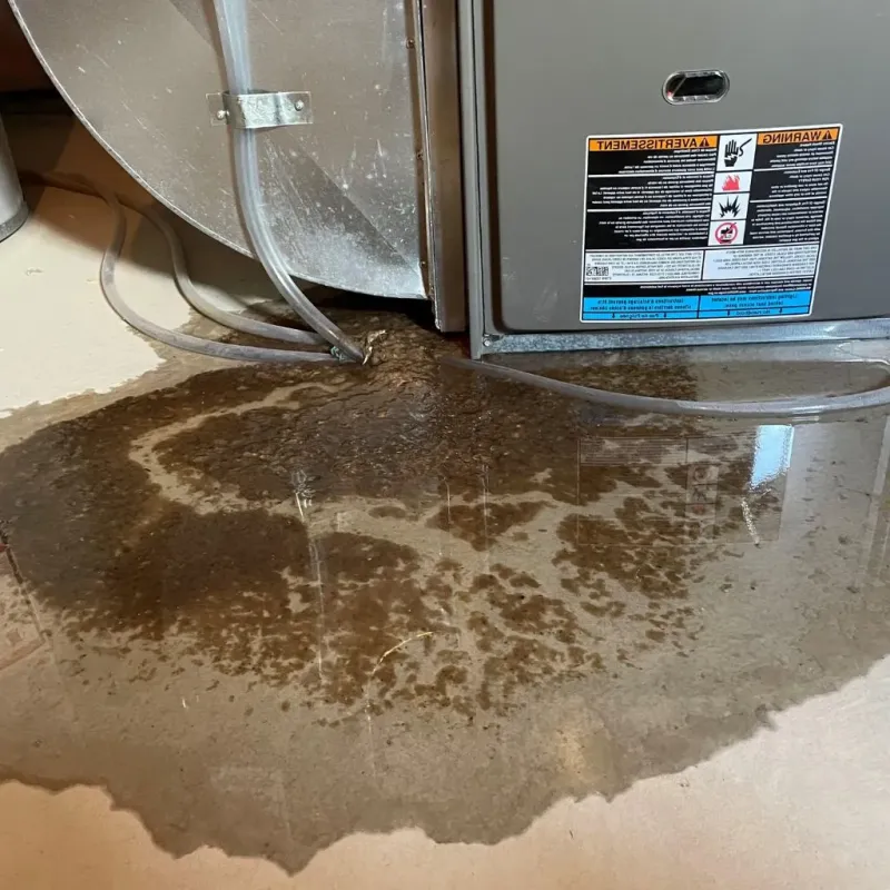 Pipe Burst and Leak Restoration in Johnstown, PA