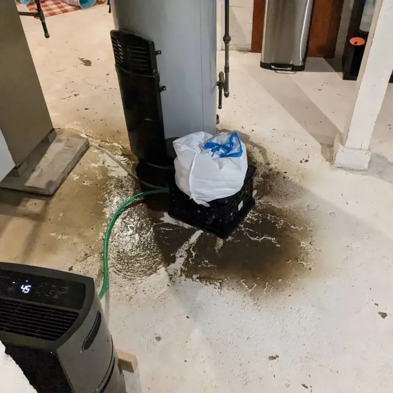 Sewage Backup Cleanup Service in Johnstown, PA
